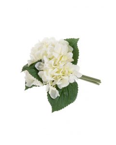 Hortensiakimppu valk. 24cm BLOSSOM