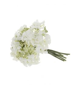 Hortensia valkoinen 24cm BLOSSOM