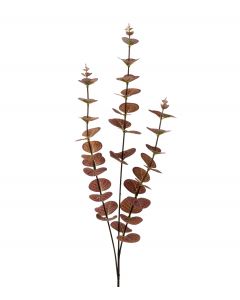 Eukalyptus 63cm