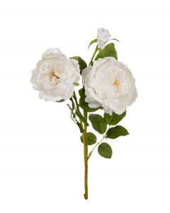 Ruusu valkoinen 78cm