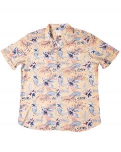 Miesten paita beige XXL AXEL