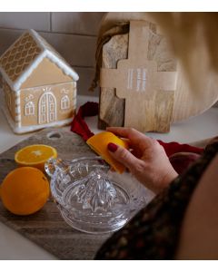 Sitruspuristin lasia