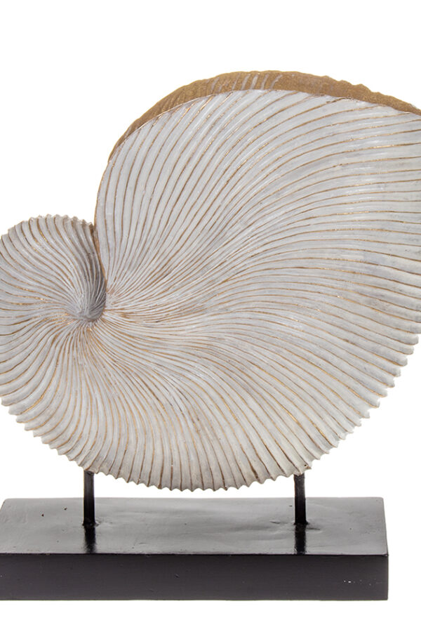Simpukkakoriste 37cm valk. SHELL - Kuva 2