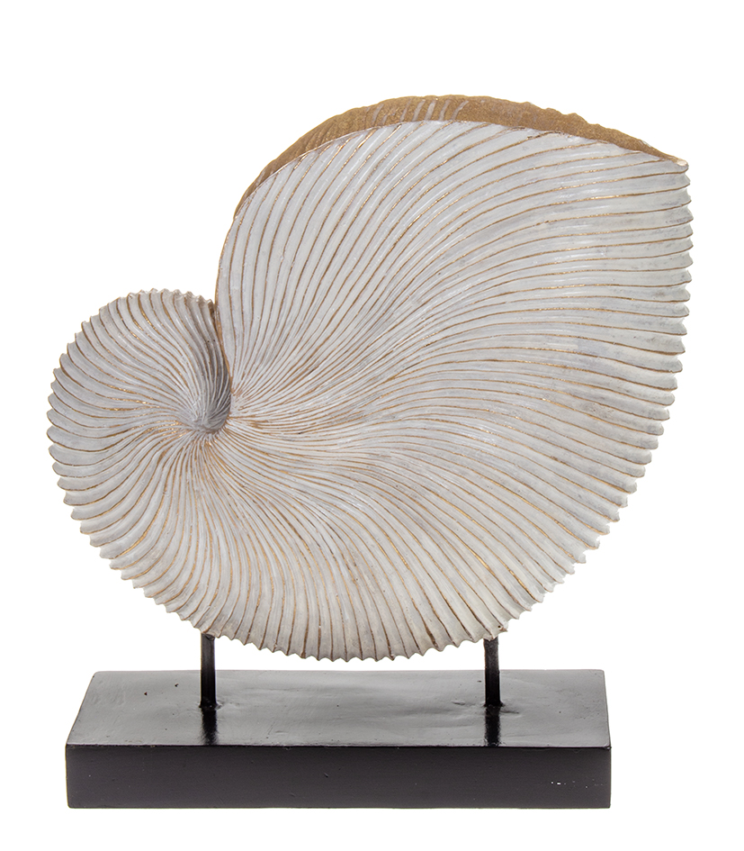 Simpukkakoriste 37cm valk. SHELL