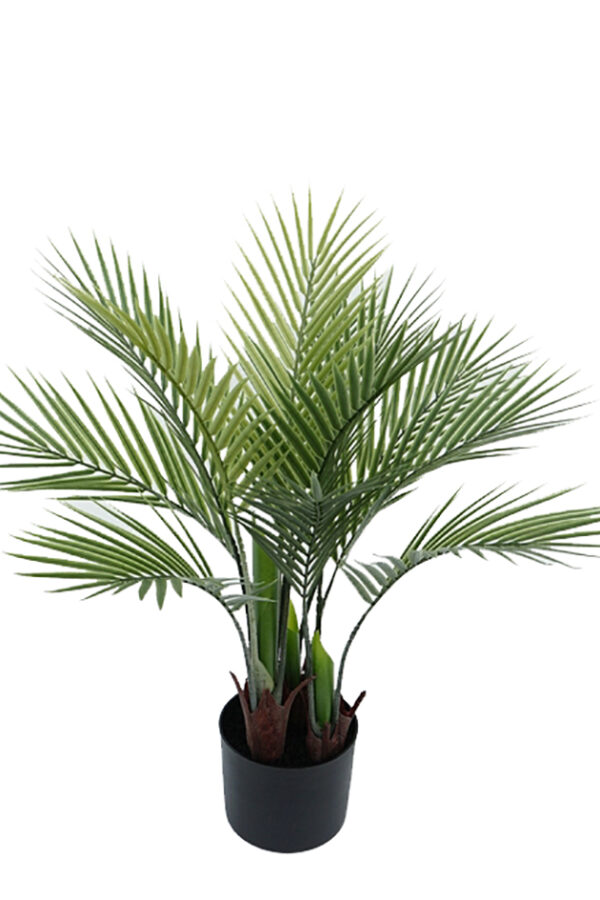 Tekokasvi palmu 70cm TROPICAL - Kuva 2
