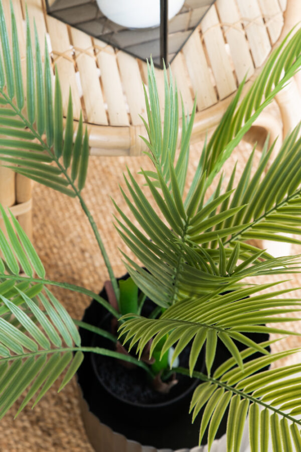 Tekokasvi palmu 70cm TROPICAL - Kuva 3