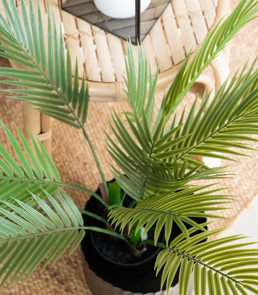 Tekokasvi palmu 70cm TROPICAL