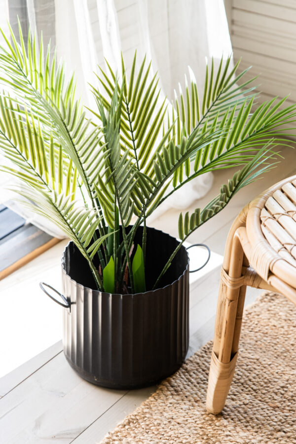 Tekokasvi palmu 70cm TROPICAL - Kuva 4