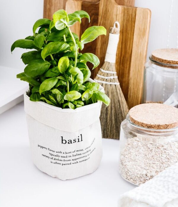 Ruukunsuoja Basil EVERYDAY - Kuva 2