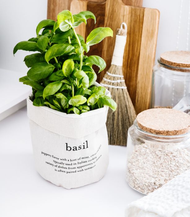 Ruukunsuoja Basil EVERYDAY