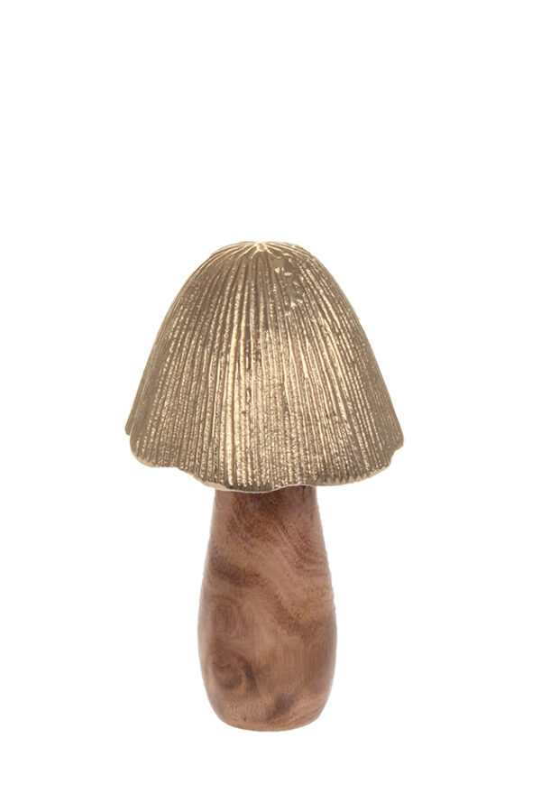 Koristesieni kulta 17cm - Kuva 2