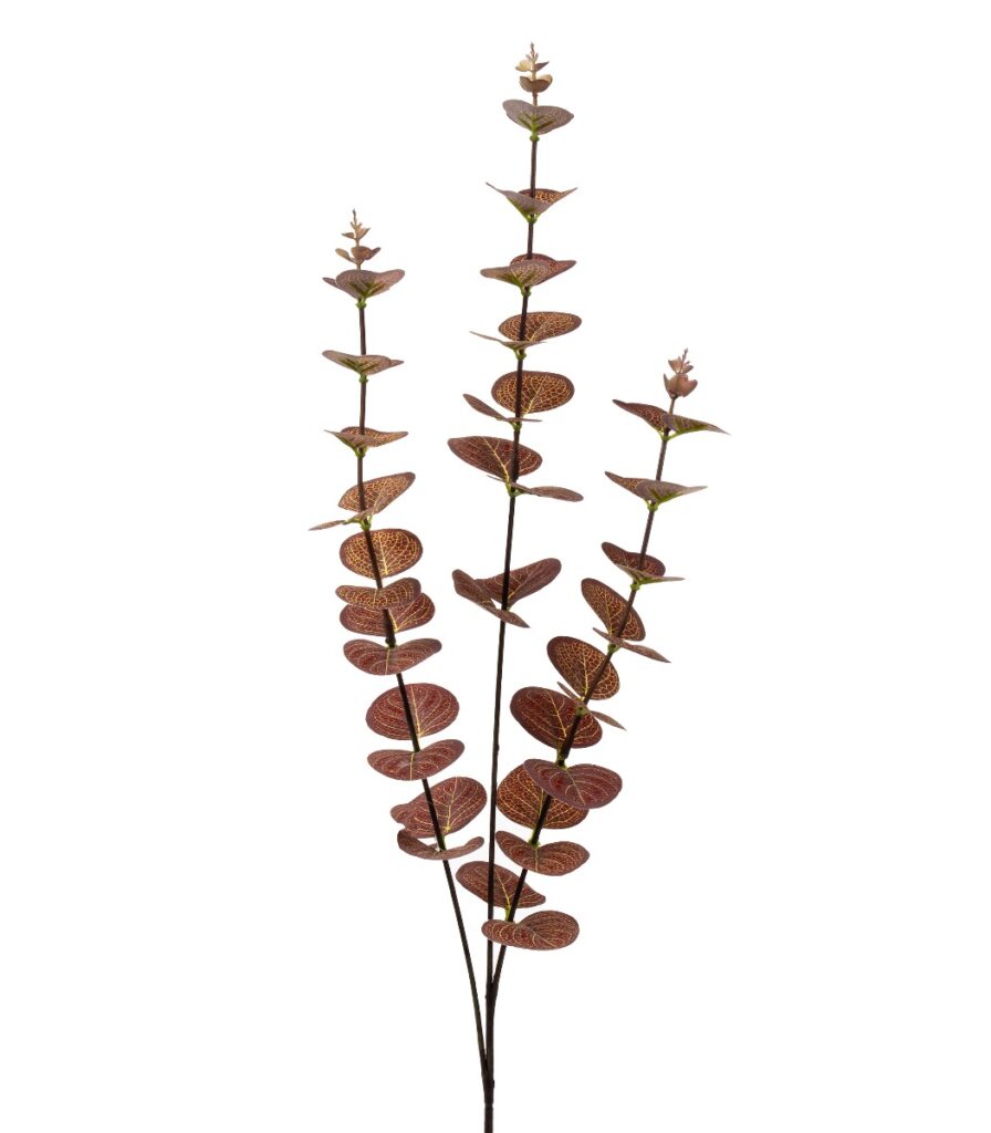 Eukalyptus 63cm
