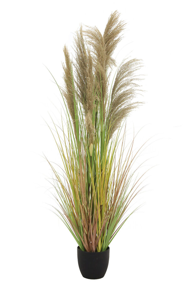 Heinäruukku 170cm - Kuva 2
