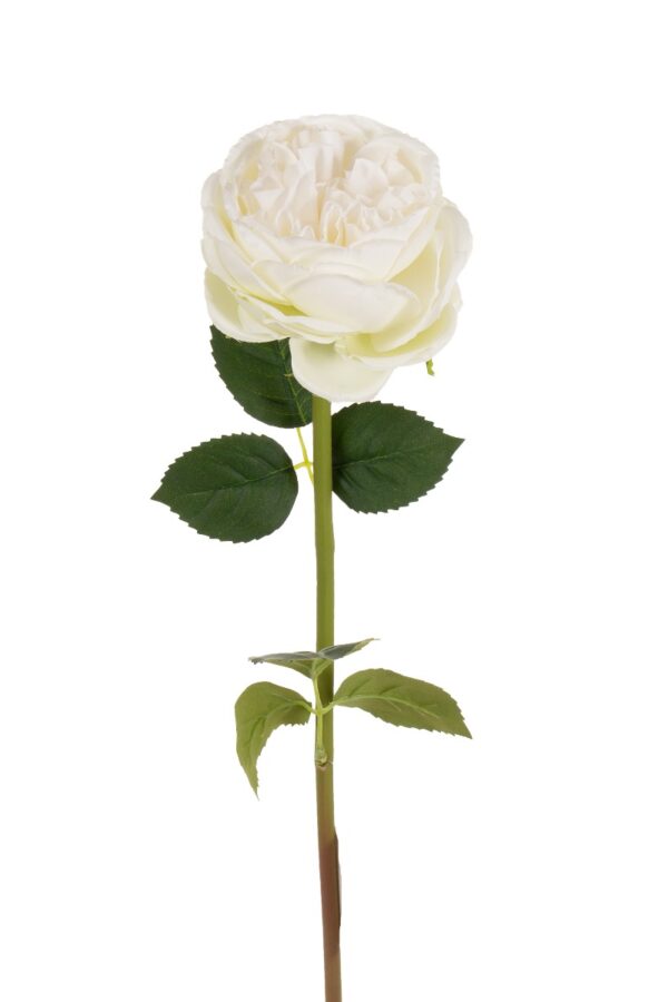 Ruusu valkoinen 60cm - Kuva 2