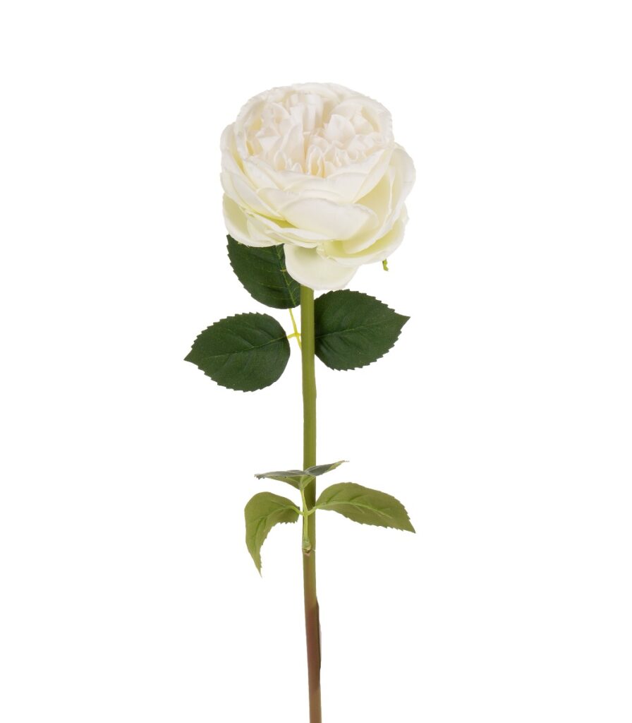 Ruusu valkoinen 60cm