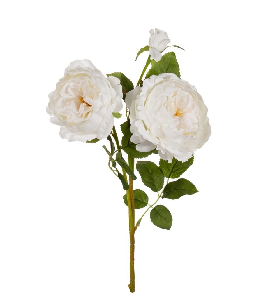 Ruusu valkoinen 78cm