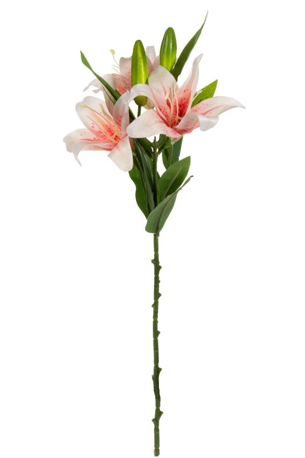 Liljanoksa 57cm - Kuva 2
