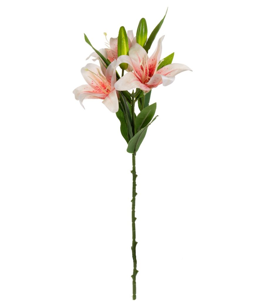 Liljanoksa 57cm