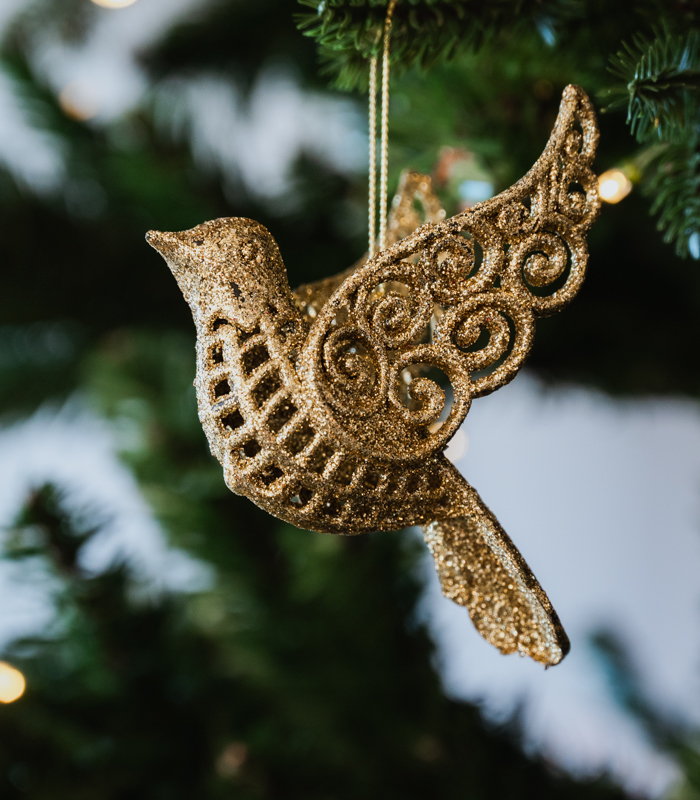 Joulukoriste lintu MERRY