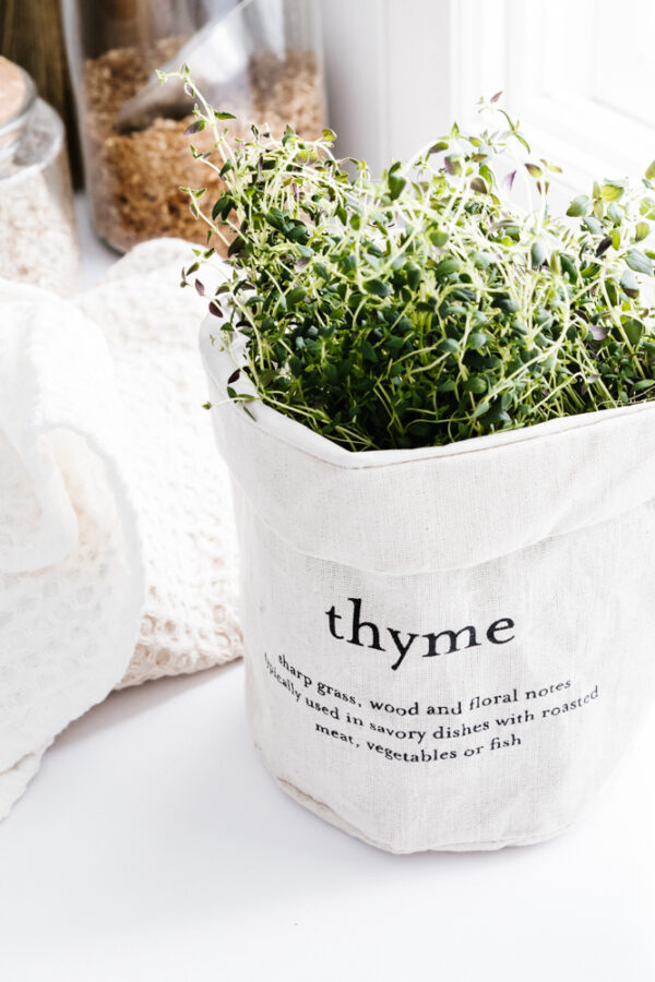Ruukunsuoja Thyme EVERYDAY - Kuva 3