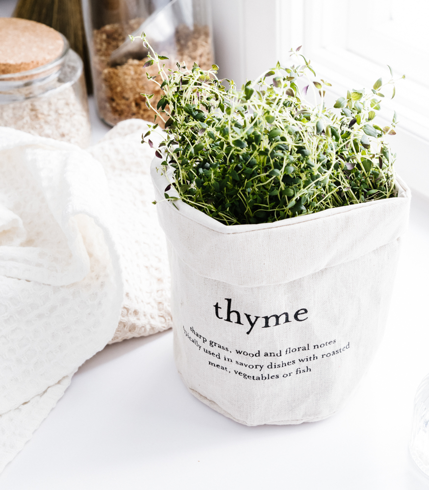 Ruukunsuoja Thyme EVERYDAY