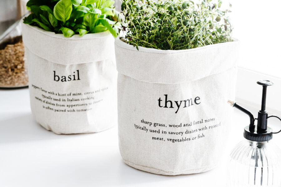 Ruukunsuoja Thyme EVERYDAY