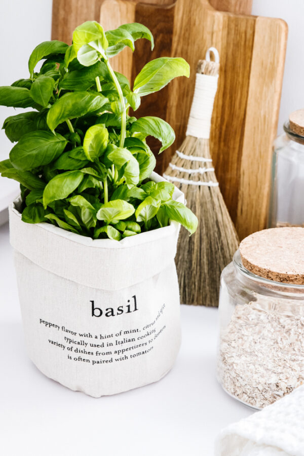 Ruukunsuoja Basil EVERYDAY - Kuva 3