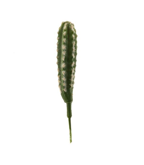 Kaktustikku 25cm TROPICAL - Kuva 2