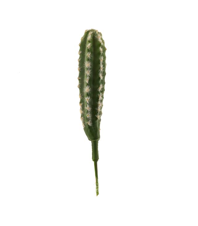 Kaktustikku 25cm TROPICAL