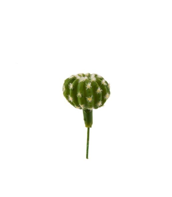 Kaktustikku 14cm TROPICAL - Kuva 2