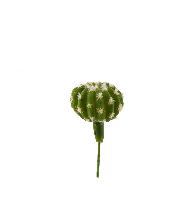 Kaktustikku 14cm TROPICAL