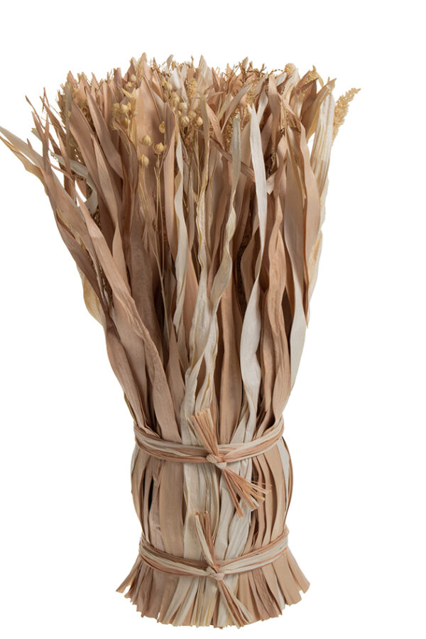 Kuivakukkanippu 40 cm LEAFY - Kuva 2