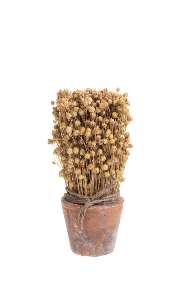 Kuivakukkaruukku  20cm LEAFY - Kuva 2