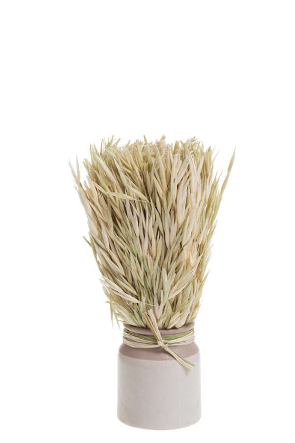 Kuivakukat ruukussa 24cm LEAFY - Kuva 2