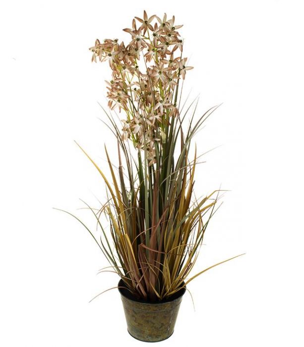 Laukka ruskea 95cm GRASS
