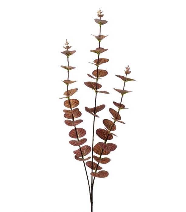 Eukalyptus 63cm