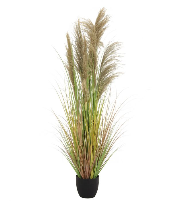 Heinäruukku 170cm