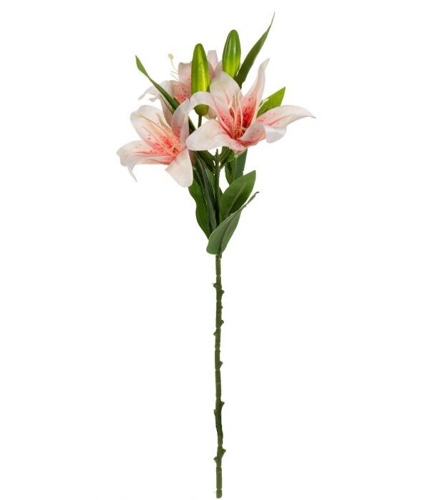 Liljanoksa 57cm - Kuva 1