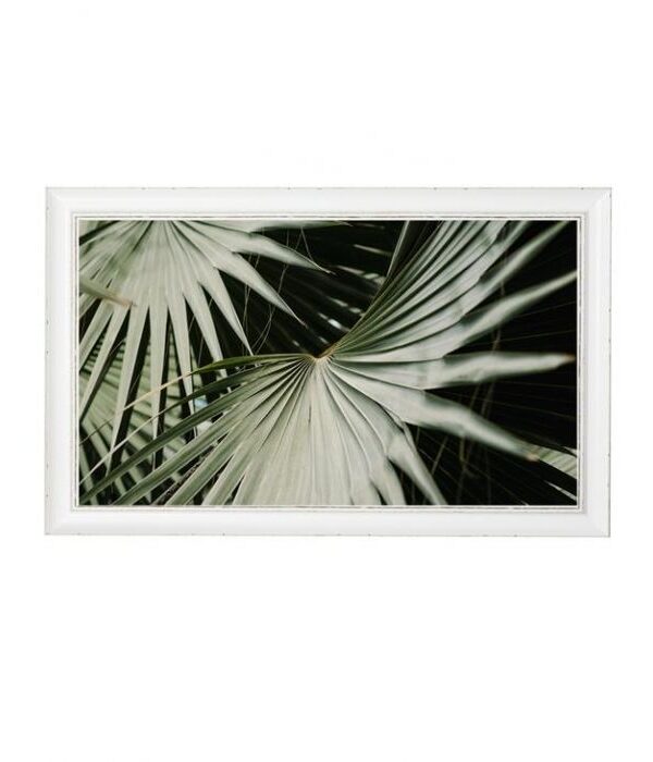 Taulu 68x43cm palmunlehti TROPICAL - Kuva 1