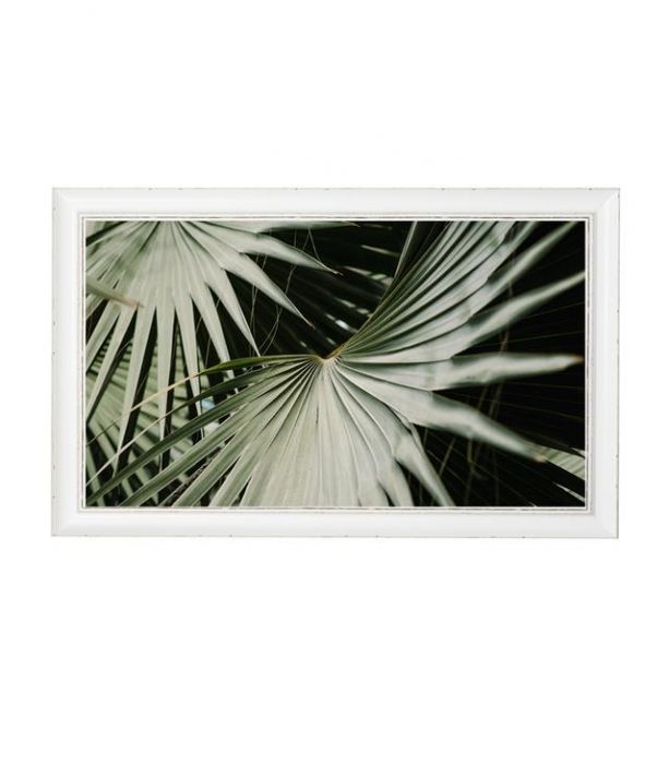 Taulu 68x43cm palmunlehti TROPICAL