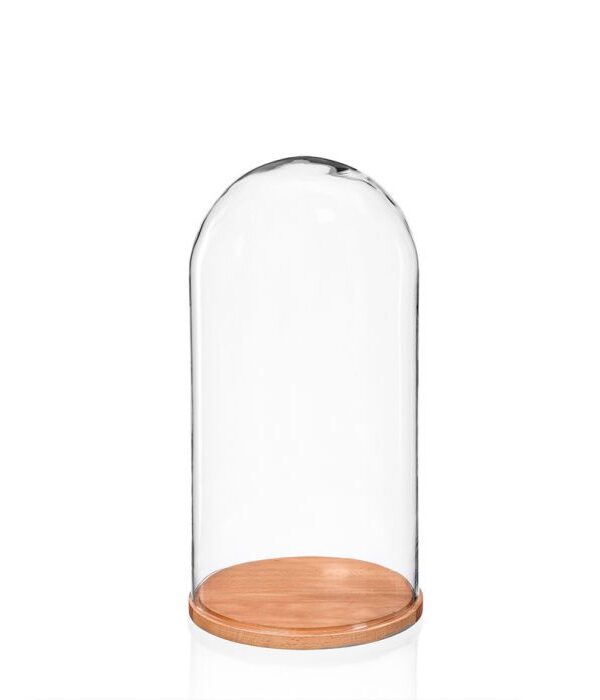 Lasikupu alustalla 26cm GLASS - Kuva 1