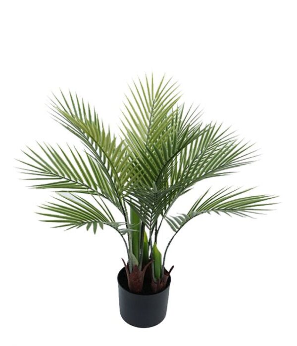 Tekokasvi palmu 70cm TROPICAL - Kuva 1