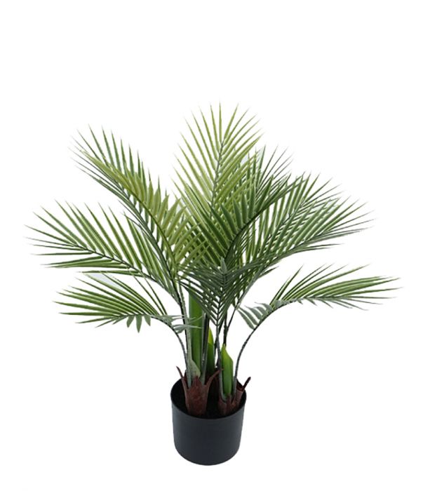 Tekokasvi palmu 70cm TROPICAL