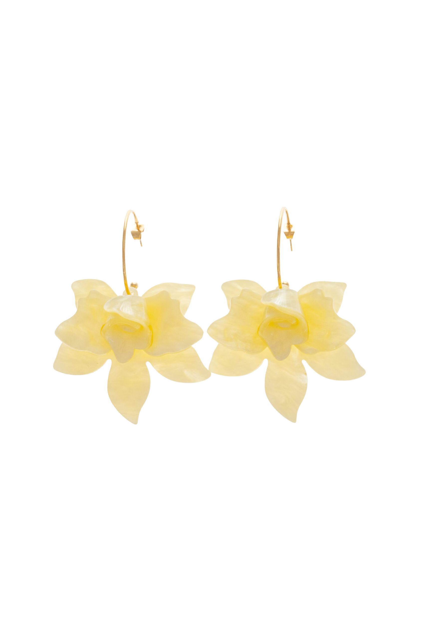 Korvakorut keltainen ORCHID - Kuva 1