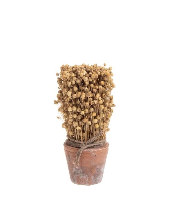 Kuivakukkaruukku  20cm LEAFY - Kuva 1