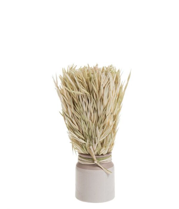 Kuivakukat ruukussa 24cm LEAFY - Kuva 1