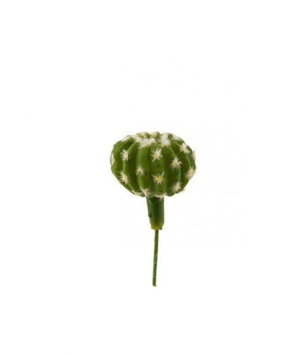 Kaktustikku 14cm TROPICAL - Kuva 1