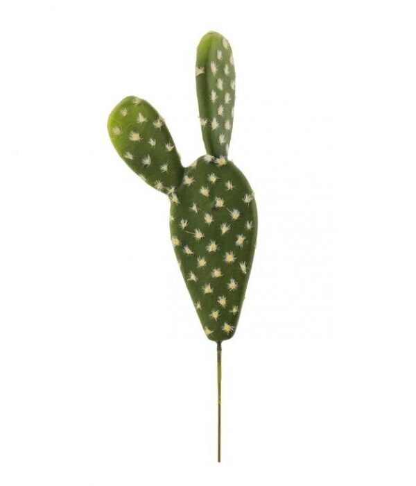 Kaktustikku 25cm TROPICAL - Kuva 1