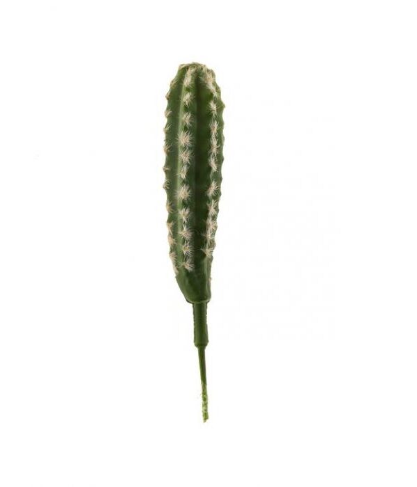 Kaktustikku 25cm TROPICAL - Kuva 1