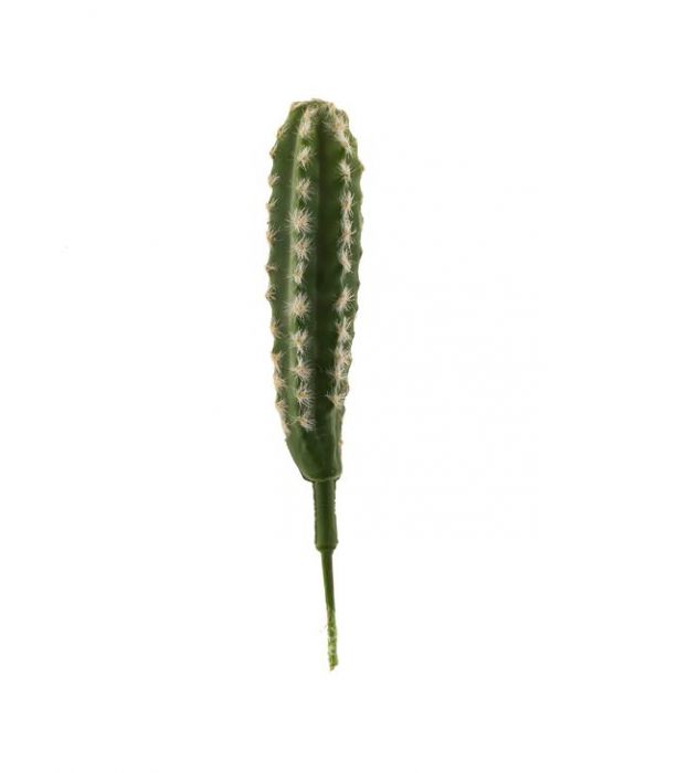 Kaktustikku 25cm TROPICAL